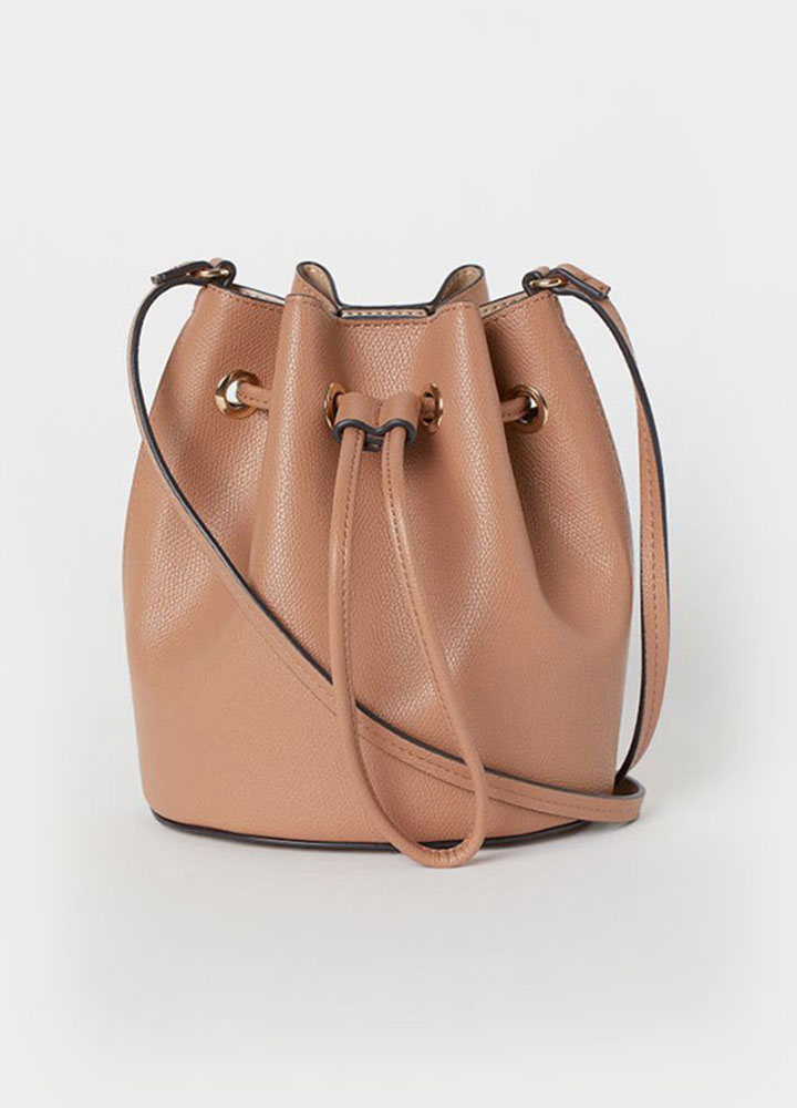 Dishacentrupr Jenghing Finibus 